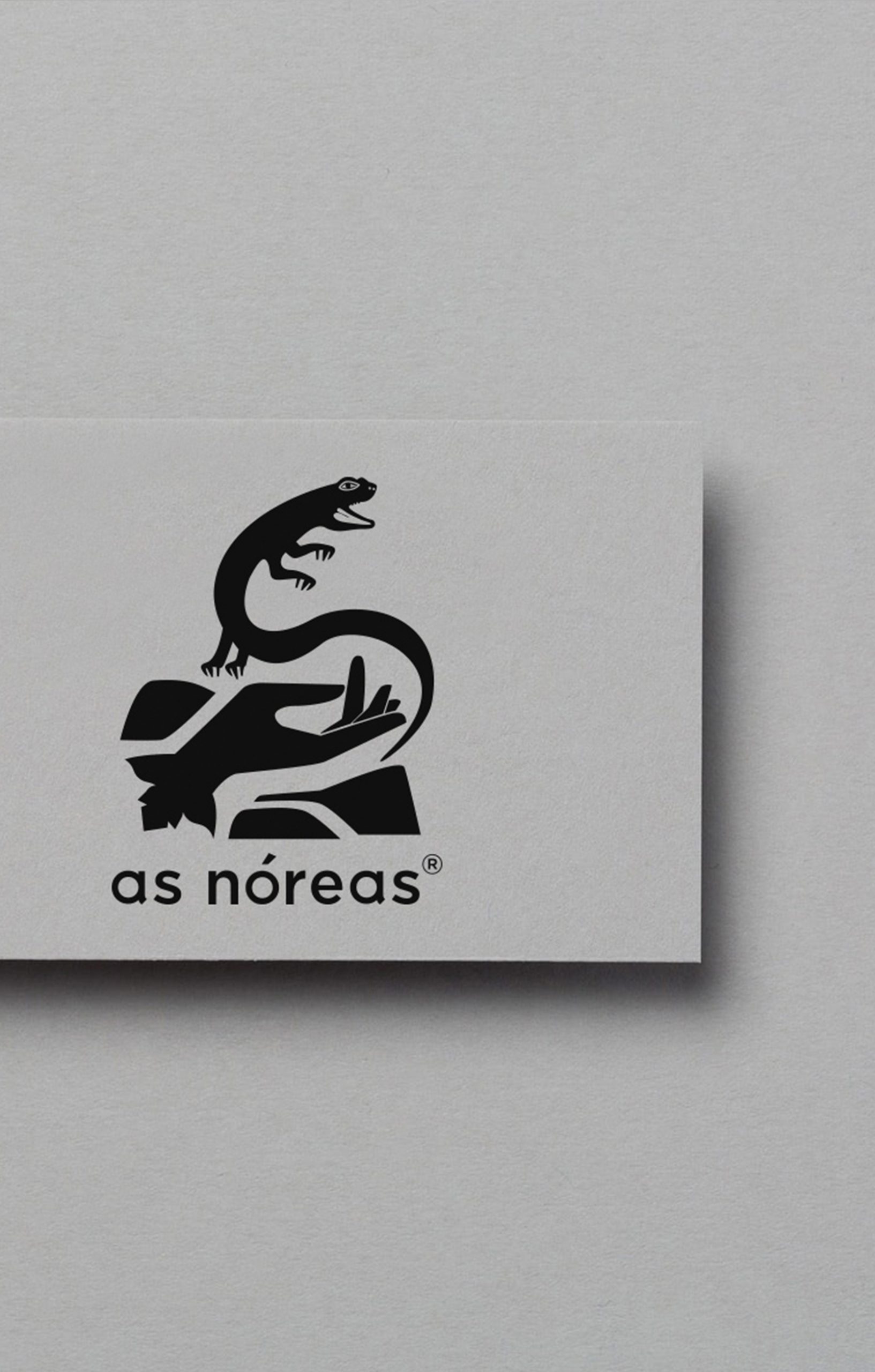 Diseño de tarjeta para as nóreas.